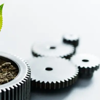Circular economy approach to sustainable manufacturing at Palbit